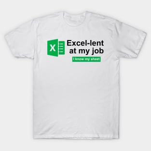 Accountant T-Shirt